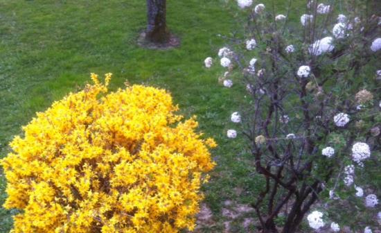 Boule jaune